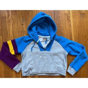 Champion ~ Reverse Weave | Half Zip Hoodie | Multi-Color